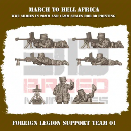 French Foreign Legion LMG team