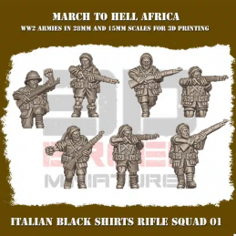 Regio Esercito Black Shirts...