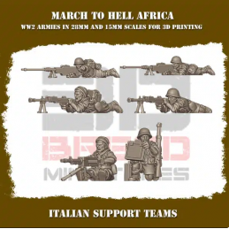 Regio Esercito LMG team