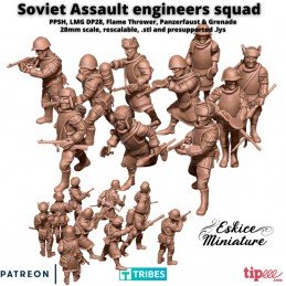 Soviet assault enginers...