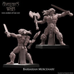 Barbarian Mercenary (III)