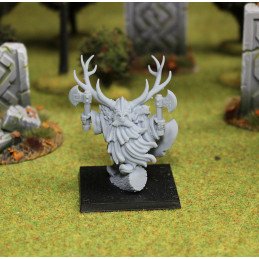 Forest Dwarf Lord