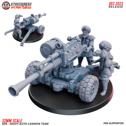 SDR - Heavy Auto Cannon Team