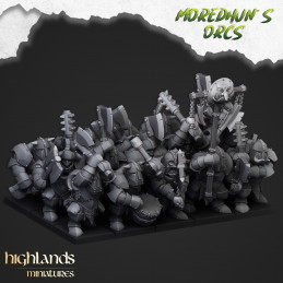 Moredhun Armoured Orcs