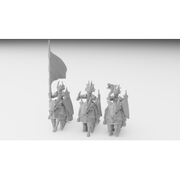 Elven Dragon Cavalry...