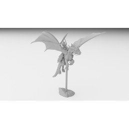 Elf Hero on Dragon