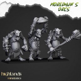 Trolls. Moredhun's Orcs