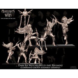 Grupo de mando Brujas de los elfos oscuros. Avatars of War