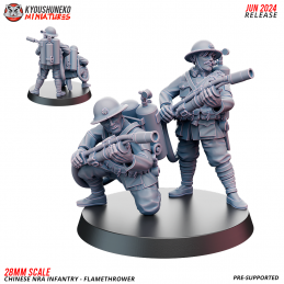 Chinese Nra Infantry -...