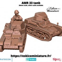 AMR 33