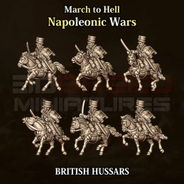 British hussars