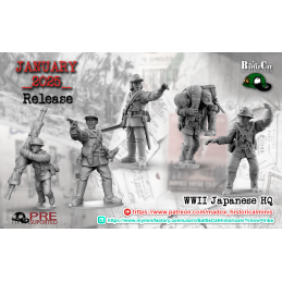 Japanese observation team