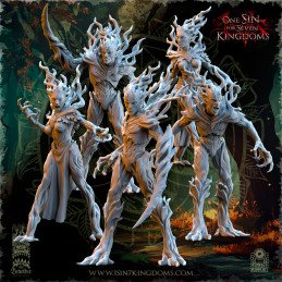 Druades. Evergreen Elves