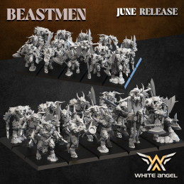 Heavy Beast Warrior command...