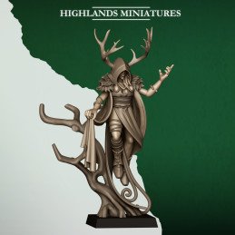 Druida salvaje. Elfos salvajes