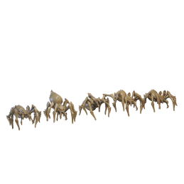 Spiders. Warriors of the North