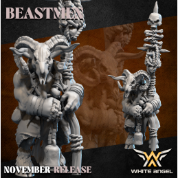 High shaman. Beastmen