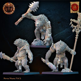 Grupo de mando de Maero....