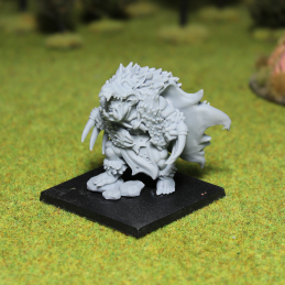 Señor de la guerra orco...