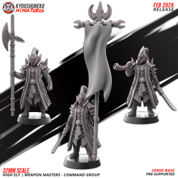 Grupo de mando de Maestros...