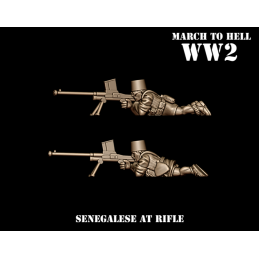 French Senegalese...