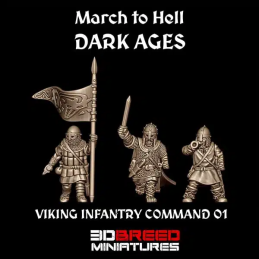 Grupo de mando vikingo 01....