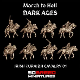 Curaidh montados irlandés...