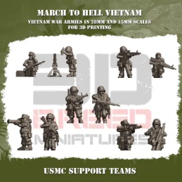 Equipo M60 USMC en Vietnam