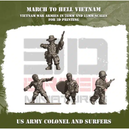 Coronel y surfistas del...