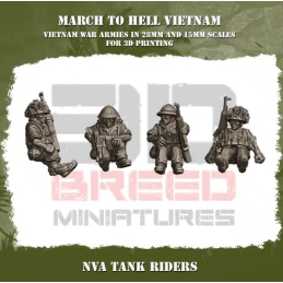 NVA Tank Riders