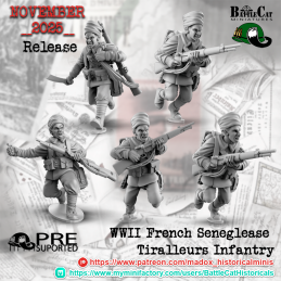 French Senegalese...