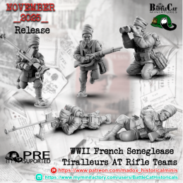 Equipo senegalés francés...