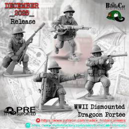 Dragones portés franceses...