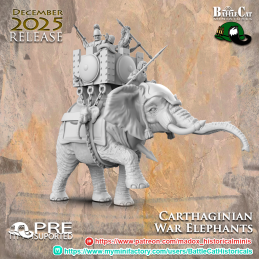 Elefante de guerra...