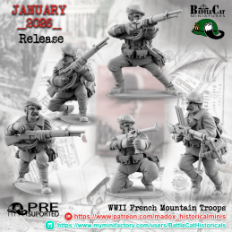 Tropas de montaña francesas...