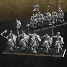 Caballería Veloz. Compañías...