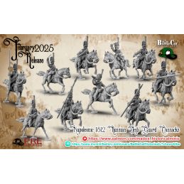 Napoleonic Russian Leib...