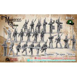 Napoleonic Portuguese Infantry