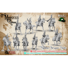 Napoleonic Portuguese Cavalry