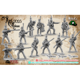 Napoleonic Portuguese...