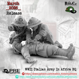 Italian Army in Africa...