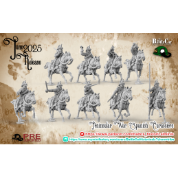 Grupo de mando de coraceros...