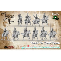 Napoleonic Spanish Hussars...