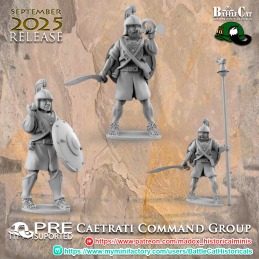 Grupo de mando caetrati íbero