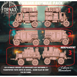 Civilian Oxymules and Trailer