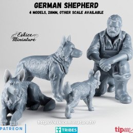 Pastores alemanes con granjero