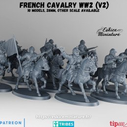 French WW2 Cavalry Command...