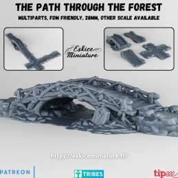 The Path Through the...