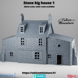 Large Stone House
