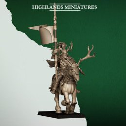 Grupo de mando de Jinetes...